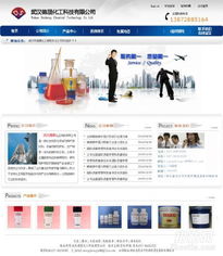 武漢網(wǎng)站制作與網(wǎng)站建設(shè) 打造企業(yè)數(shù)字門(mén)戶(hù)的全面指南