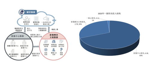 稀缺標的港股上市 醫學影像第一股邁入高增長，互聯網數據服務助力新篇章